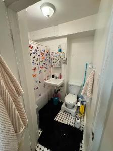 Two bedroom apartment for rent just steps away from Queen's - Photo 2