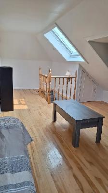 Sandy Hill (Somerset) inc On-suite Female Only  5 min to OttawaU - Photo 2