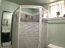 2 Bedroom Basement Apartment At Bloor/Ossington Subway Station - Photo 9