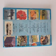LA PEINTURE À L'HUILE DE HELEN DOUGLAS-COOPER 100 ASTUCES: $5.00 - Photo 2