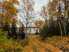 Cabin for Sale - Flatwater Pond off Baie Verte Highway - Photo 5