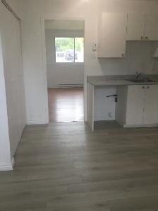 41/2. Longueuil  (St-Hubert).   1  MOIS  GRATUIT