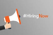 Hiring delivery owner operator sedans/Suv