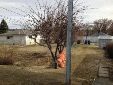 3 Bedroom Highland-Park Main-Floor for Rent in NW, Calgary