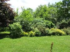BEAUTIFULL COUNTRY SETTING- PRIVATE AND PEACEFULL - Photo 16