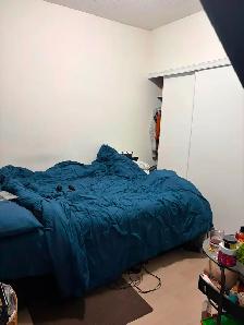 Private Room for rent - Photo 7
