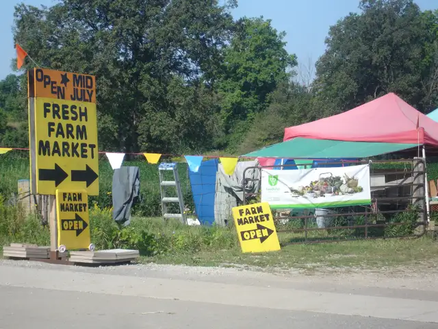 YES WE ARE FINALLY OPEN FARM FRESH MARKET @ STEELES & 5TH LINE!