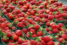YES WE ARE FINALLY OPEN FARM FRESH MARKET @ STEELES & 5TH LINE! - Photo 7