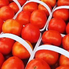 YES WE ARE FINALLY OPEN FARM FRESH MARKET @ STEELES & 5TH LINE! - Photo 8