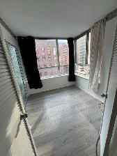 2 DOWNTOWN CONDO ROOMS WITH WINDOWS BAY GERRARD/COLLEGE   POOL - Photo 9