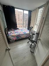 2 DOWNTOWN CONDO ROOMS WITH WINDOWS BAY GERRARD/COLLEGE   POOL - Photo 11