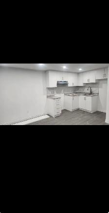 One bedroom basement apartment - Photo 4