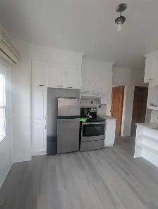 3 chambres à louer – Hochelaga-Maisonneuve – Montréal - Photo 3