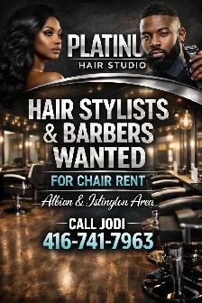 Platinum Hair Studio Professional Chair Rental - Photo 5