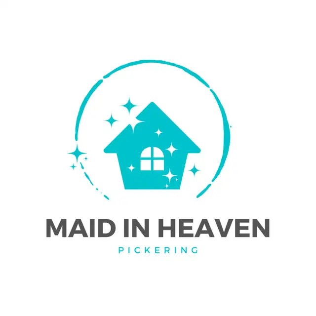Professional House Cleaner