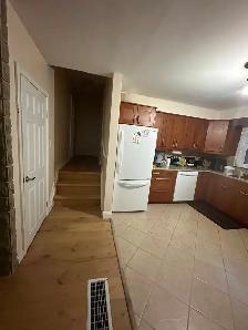 MAIN FLOOR BED ROOMS FOR RENT AT EGLINTON / KENNEDY - Photo 3