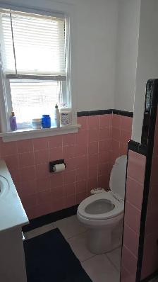 MAIN FLOOR BED ROOMS FOR RENT AT EGLINTON / KENNEDY - Photo 4