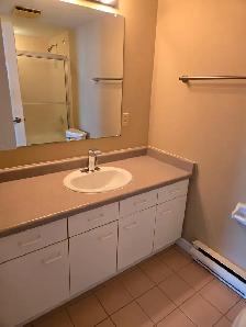 Very Desirable North End 2 Bed 2 Bath High-Rise Apt FOR RENT ! - Photo 6