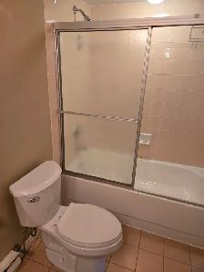 Very Desirable North End 2 Bed 2 Bath High-Rise Apt FOR RENT ! - Photo 7