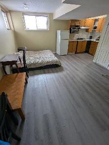 Basement studio apartment in Barrhaven, All inclusive. ASAP