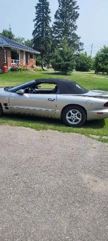 1999 Pontiac Firebird Convertible - Photo 4