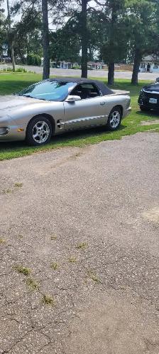 1999 Pontiac Firebird Convertible - Photo 5