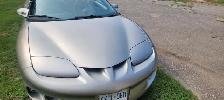 1999 Pontiac Firebird Convertible - Photo 6