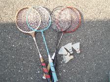 BADMINTON  SET-  RACQUETS AND BIRDS