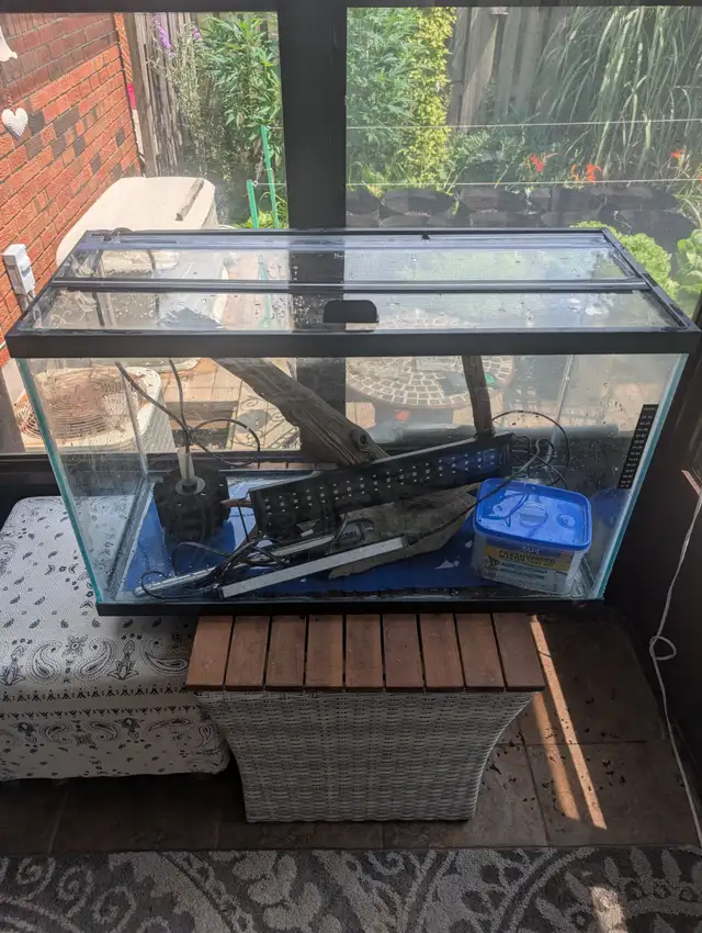 35 gallon Aquarium