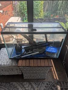 35 gallon Aquarium