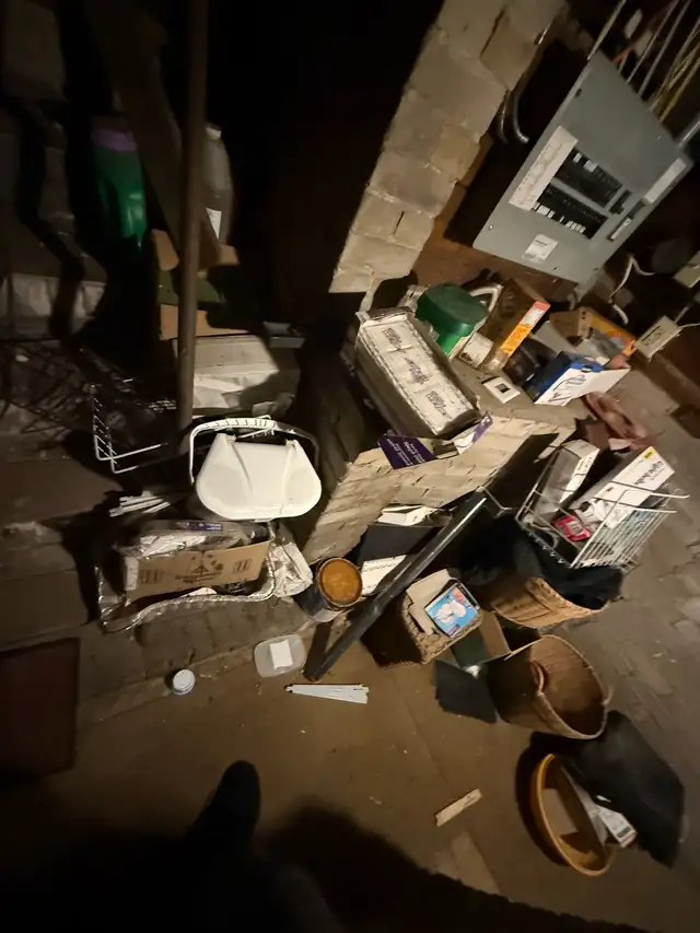 movers help