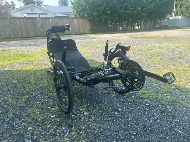 Catrike 700, trainer and recumbent bike rack