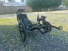 Catrike 700, trainer and recumbent bike rack