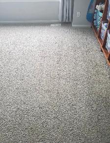 Carpet & Upholstery Cleaning SAME DAY ⚡