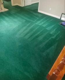 Carpet & Upholstery Cleaning SAME DAY ⚡ - Photo 2