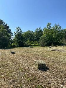 Horse Hay For Sale