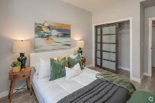 1 BEDROOM 1  BATH APT IN BRIDGWATER - AVAILABLE NOW - Photo 2
