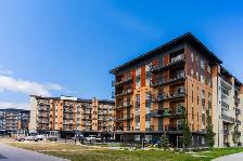 1 BEDROOM 1  BATH APT IN BRIDGWATER - AVAILABLE NOW - Photo 4