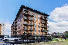 1 BEDROOM 1  BATH APT IN BRIDGWATER - AVAILABLE NOW - Photo 5