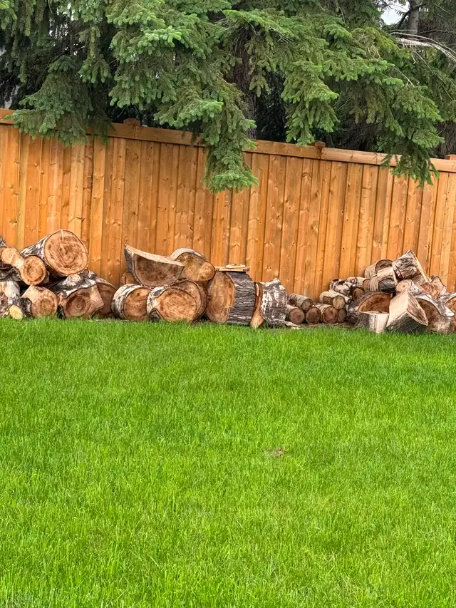 Free firewood for pickup