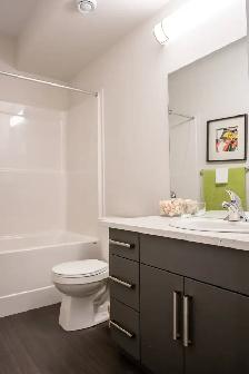 2-Bedroom  2-Bathroom Apartments - Aug, Sept, Oct 1! - Photo 7
