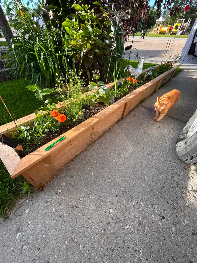 Planter solutions