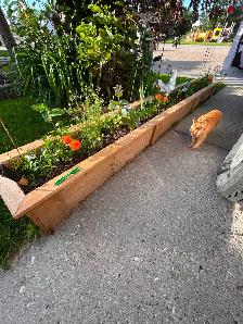 Planter solutions