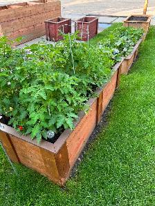Planter solutions - Photo 2