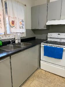 $500 Off First Month! Spacious 3-Bed on Kennedy and Steel! - Photo 3