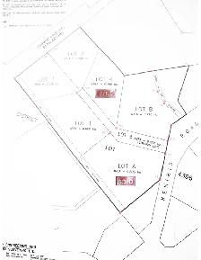 Beautiful Lot for Sale - Photo 3