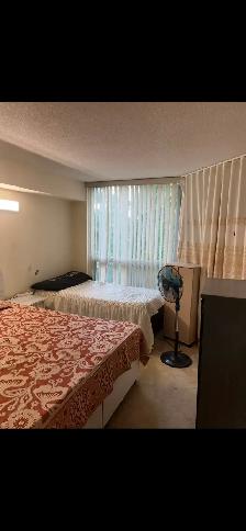 Long Term Furnished Mississauga Square One Area for