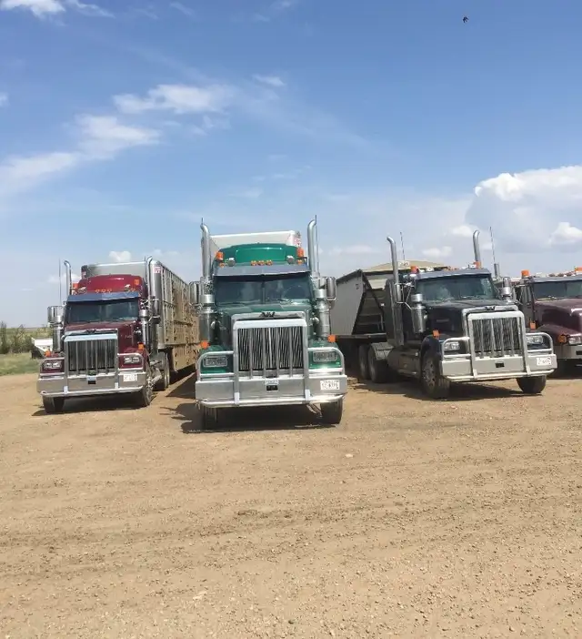 Class 1 Driver for Farm/Feedlot