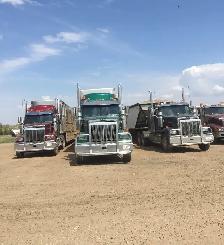 Class 1 Driver for Farm/Feedlot