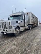 Class 1 Driver for Farm/Feedlot - Photo 4